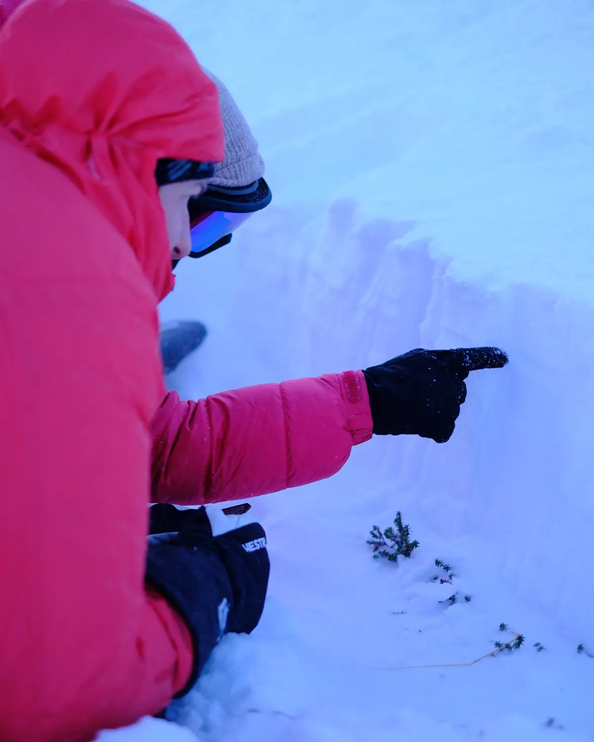 Halvårskurs. Det komplette kurs - skredkurs, klatrekurs, isklatring i Lofoten, Lyngen, Stetind og Chamonix.